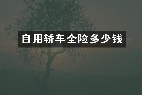 自用轿车全险多少钱