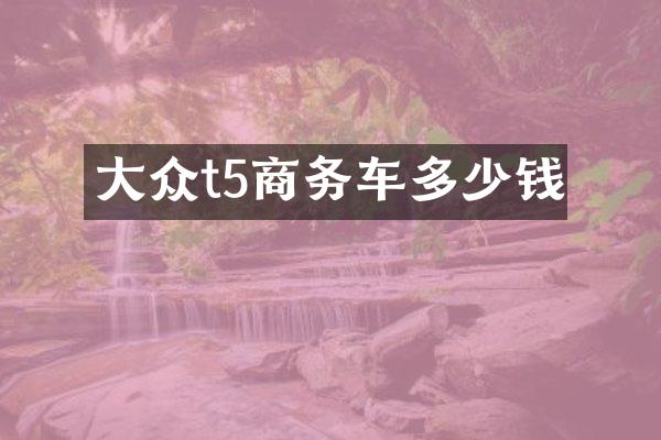 大众t5商务车多少钱