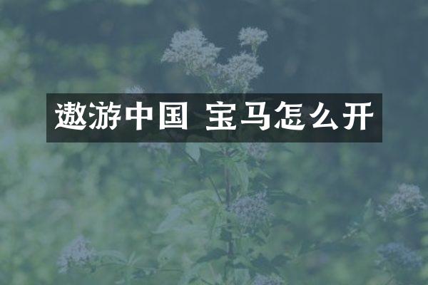 遨游中国 宝马怎么开