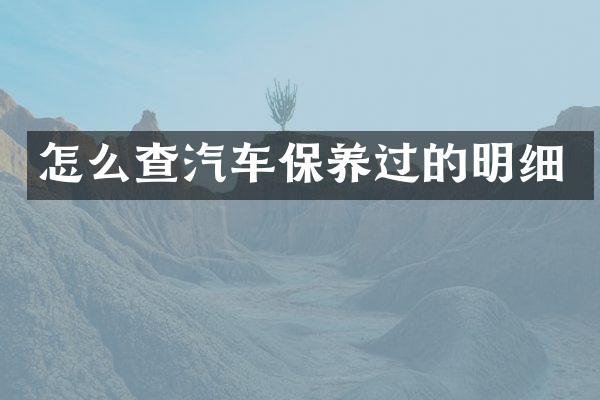 怎么查汽车保养过的明细