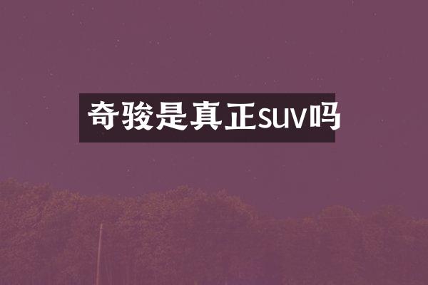 奇骏是真正suv吗