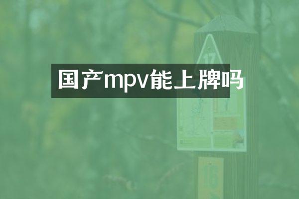 国产mpv能上牌吗