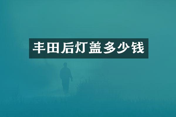 丰田后灯盖多少钱