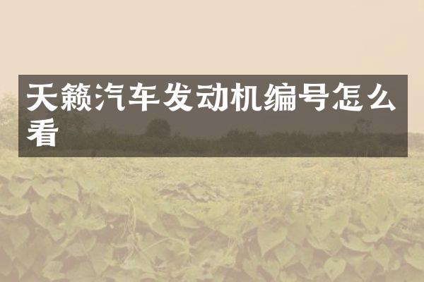 天籁汽车发动机编号怎么看