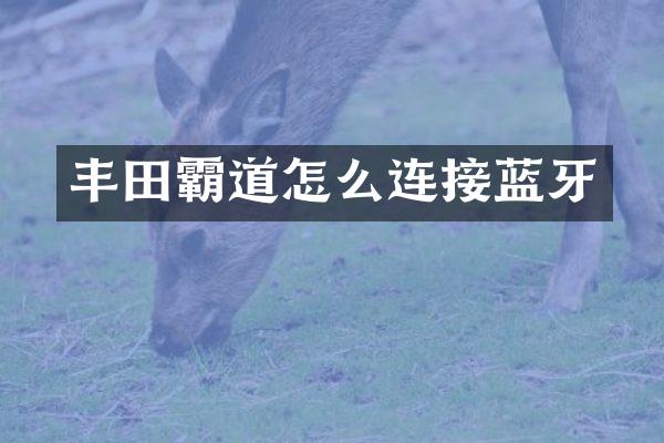 丰田霸道怎么连接蓝牙