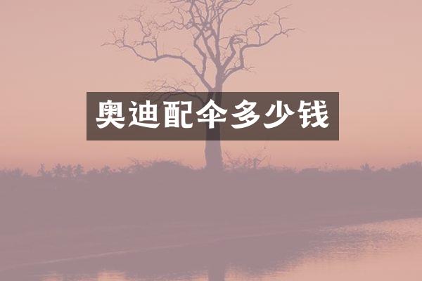 奥迪配伞多少钱