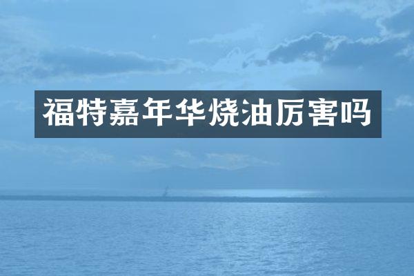 福特嘉年华烧油厉害吗