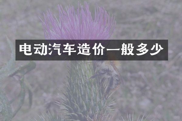 电动汽车造价一般多少