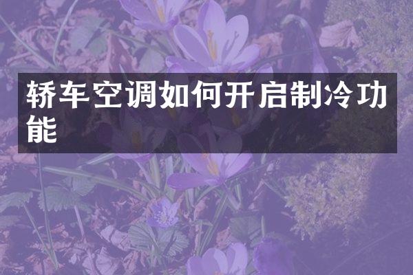 轿车空调如何开启制冷功能