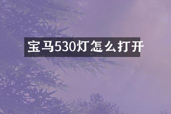 宝马530灯怎么打开