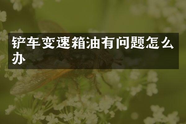 铲车变速箱油有问题怎么办