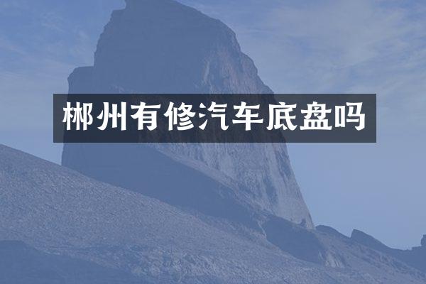 郴州有修汽车底盘吗