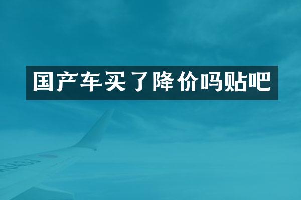 国产车买了降价吗贴吧