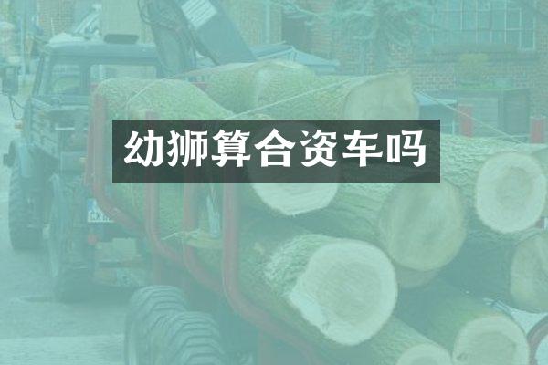 幼狮算合资车吗