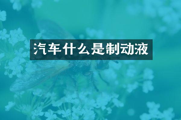 汽车什么是制动液