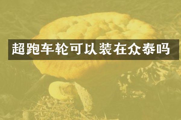 超跑车轮可以装在众泰吗