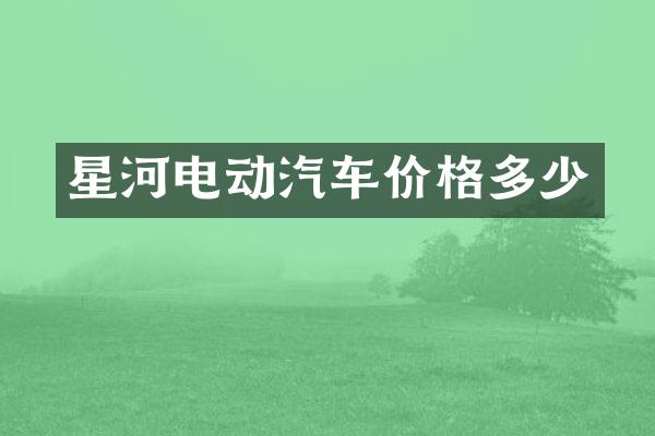 星河电动汽车价格多少