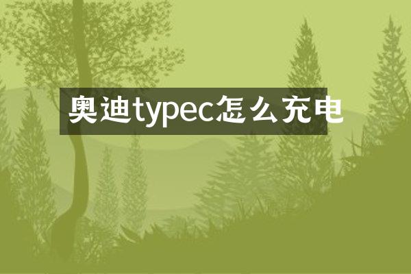 奥迪typec怎么充电