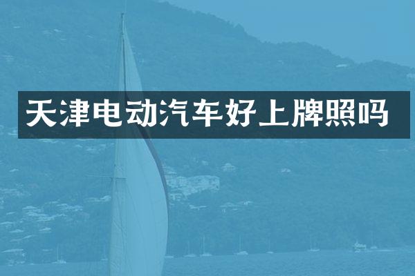 天津电动汽车好上牌照吗
