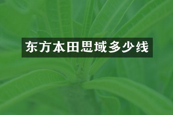东方本田思域多少线