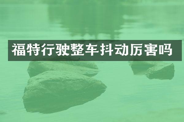 福特行驶整车抖动厉害吗