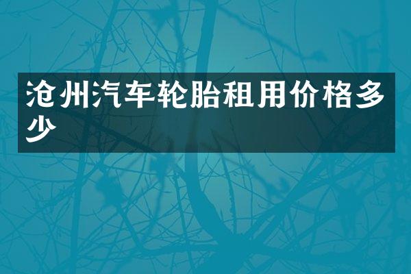 沧州汽车轮胎租用价格多少