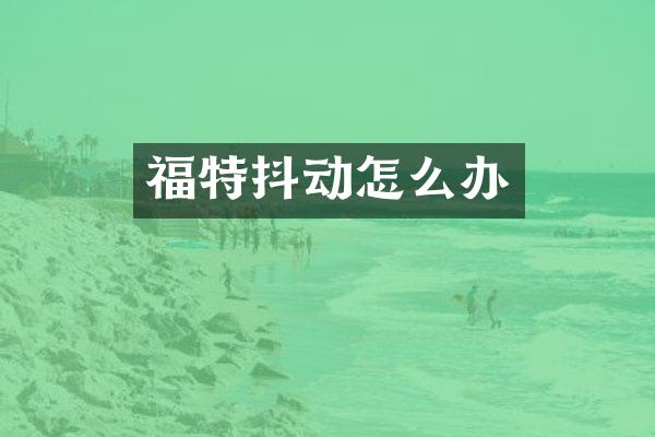 福特抖动怎么办