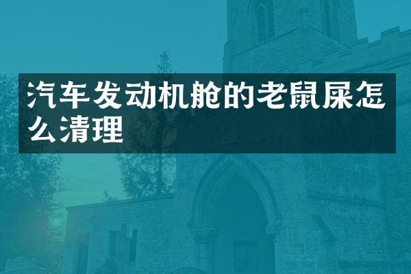 汽车发动机舱的老鼠屎怎么清理