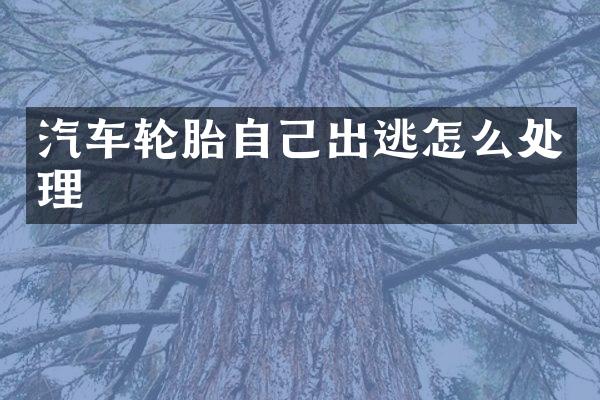 汽车轮胎自己出逃怎么处理