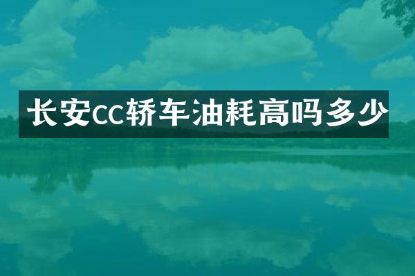 长安cc轿车油耗高吗多少