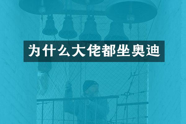 为什么大佬都坐奥迪