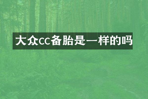 大众cc备胎是一样的吗