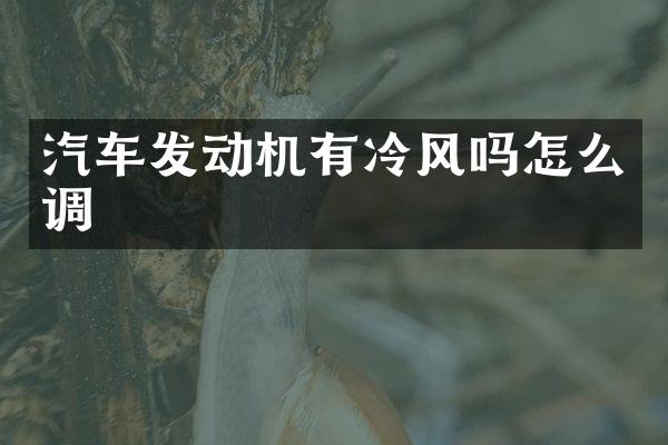 汽车发动机有冷风吗怎么调