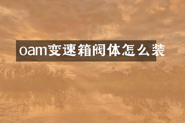oam变速箱阀体怎么装