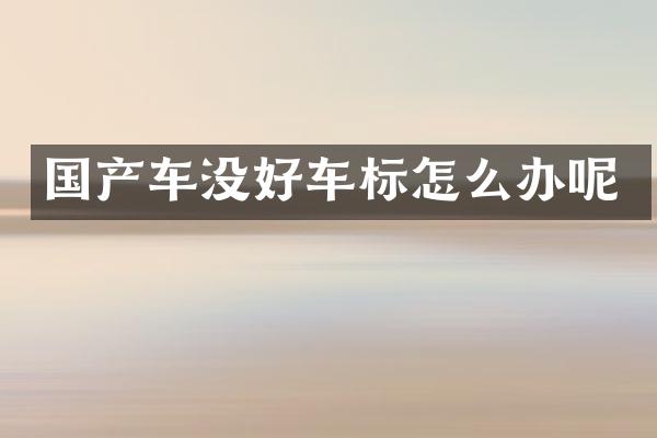 国产车没好车标怎么办呢