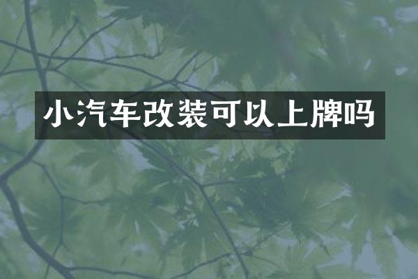 小汽车改装可以上牌吗