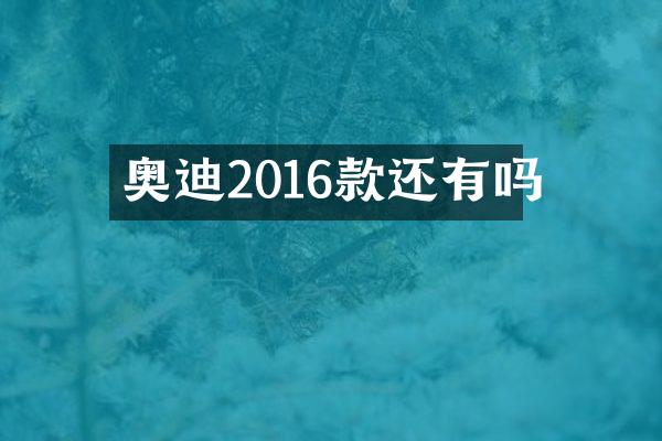 奥迪2016款还有吗
