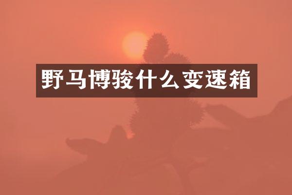 野马博骏什么变速箱