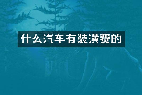 什么汽车有装潢费的