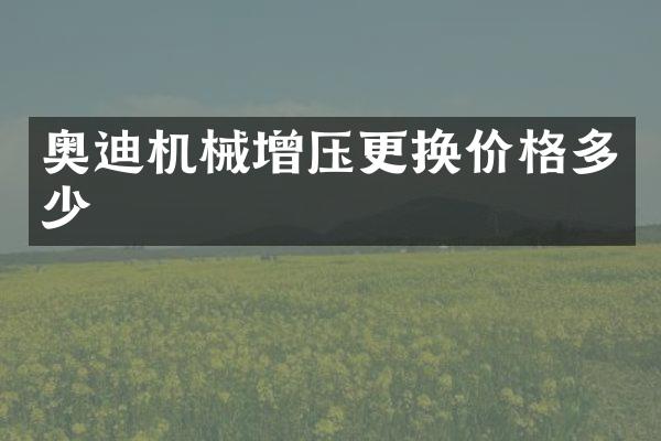 奥迪机械增压更换价格多少