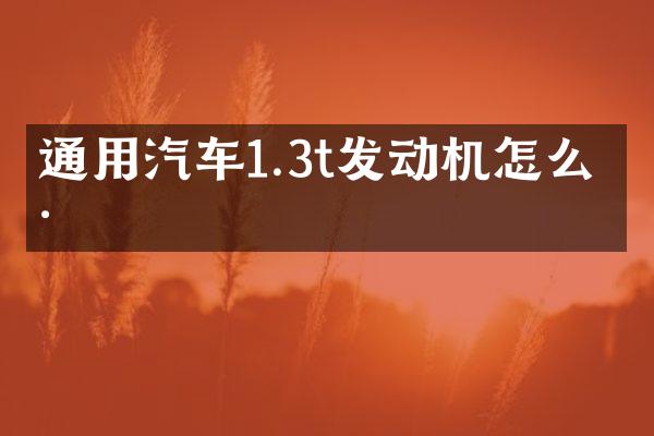 通用汽车1.3t发动机怎么样