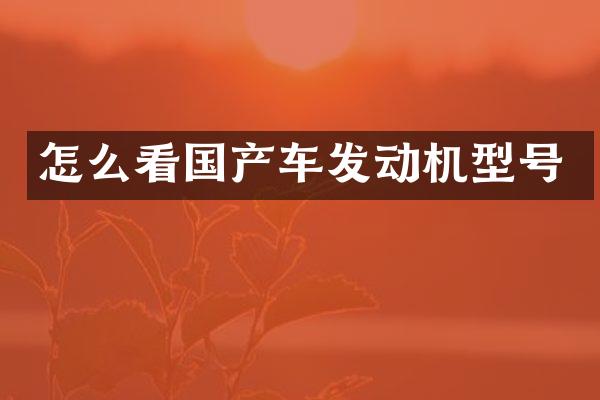 怎么看国产车发动机型号