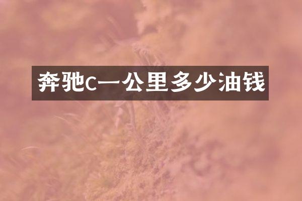 奔驰c一公里多少油钱