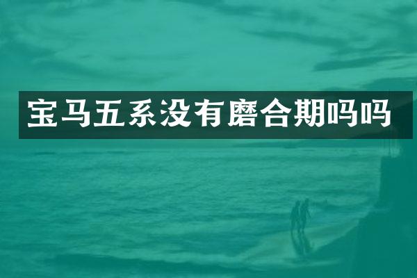 宝马五系没有磨合期吗吗