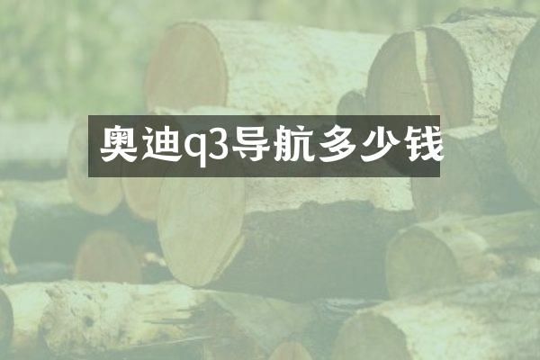 奥迪q3导航多少钱