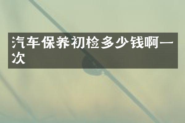 汽车保养初检多少钱啊一次