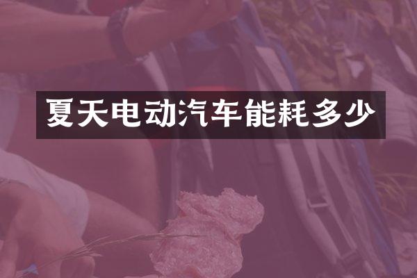 夏天电动汽车能耗多少