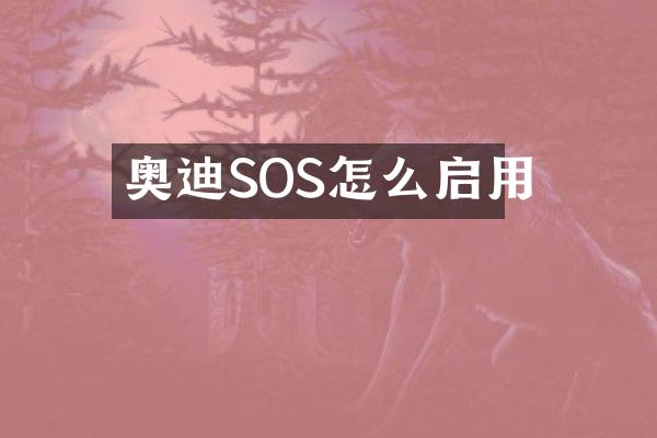 奥迪SOS怎么启用