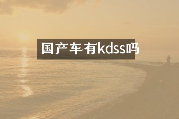 国产车有kdss吗