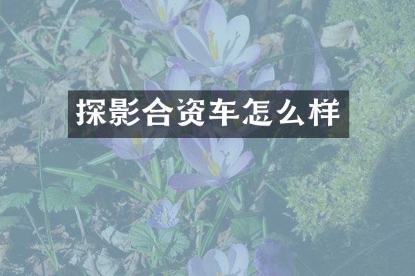探影合资车怎么样